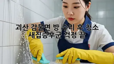 괴산 감물면 방 수리 후 청소: 새집증후군 걱정 끝!